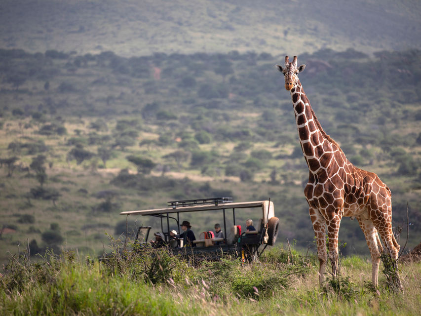 Safari experience in Kenya